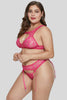 Seductive Rosy Lace Bralette Garter Set